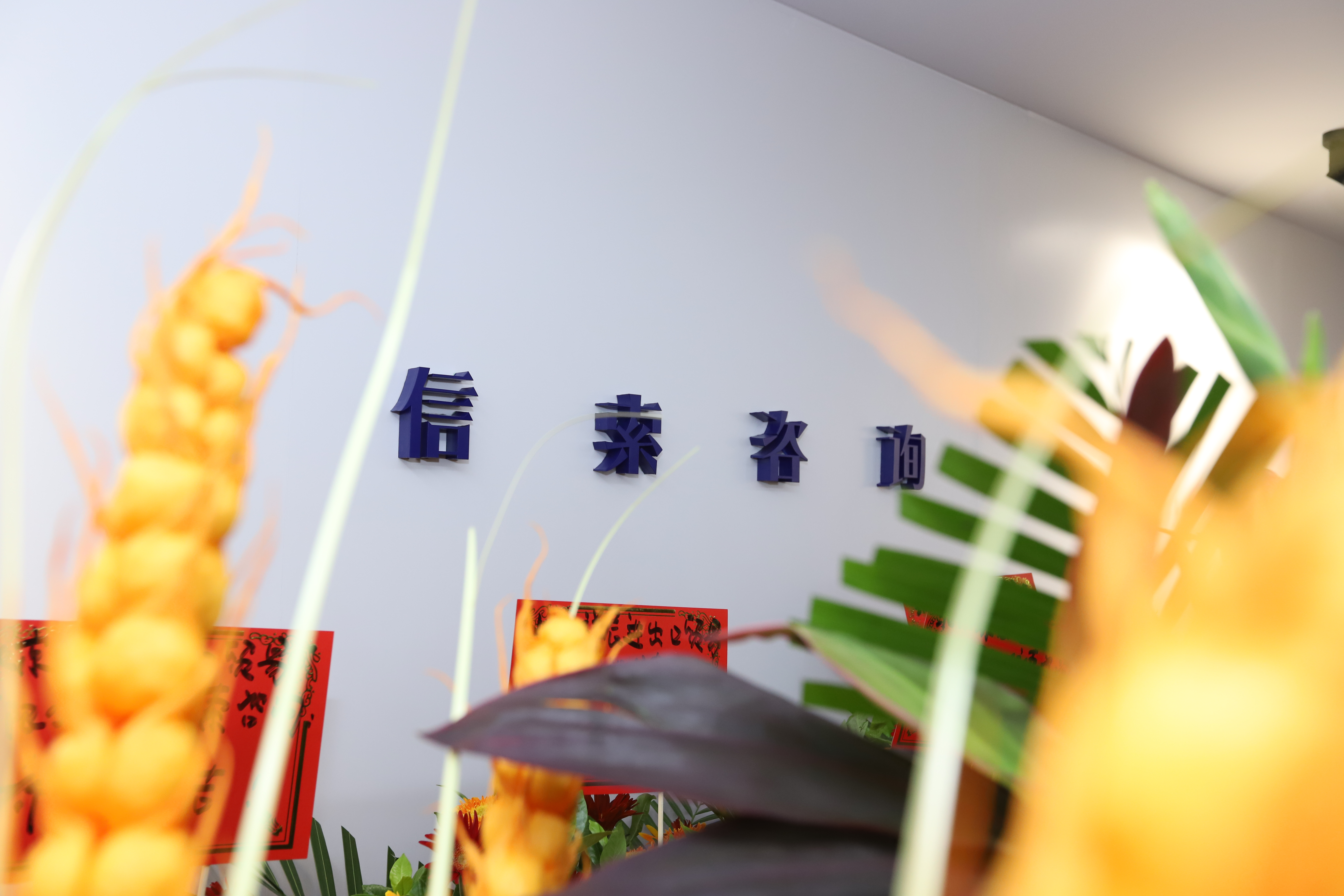 9888拉斯维加斯(中国游)官方网站